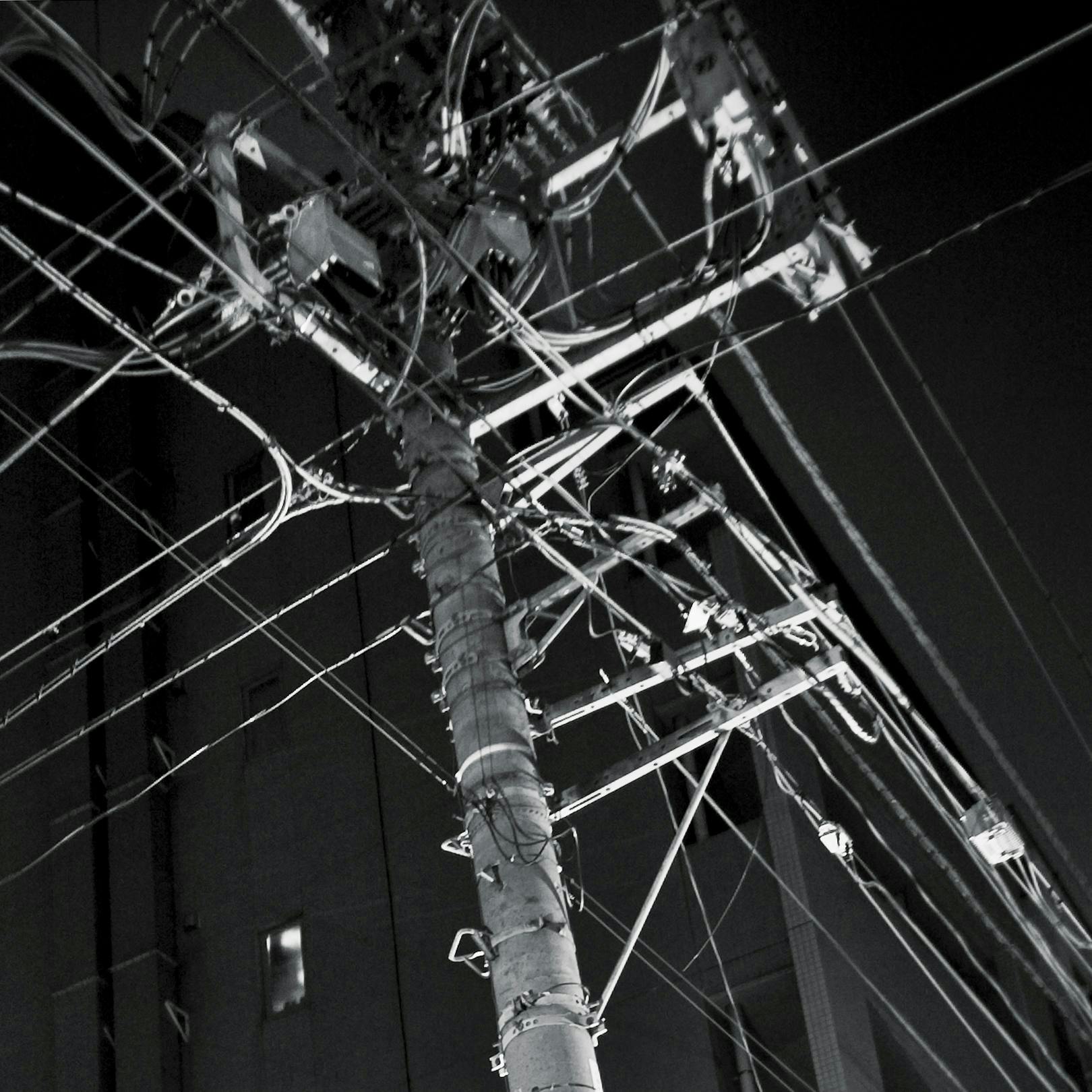 ディテール: 東京といえば電線。まるで生物の血管のように中空に張り巡らされる。Detail: When it comes to Tokyo, you can't ignore the power lines. They crisscross hollow sky like the veins of a living organism.